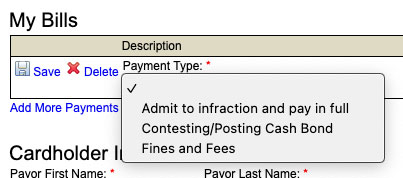Different payment types available on the payment processor page